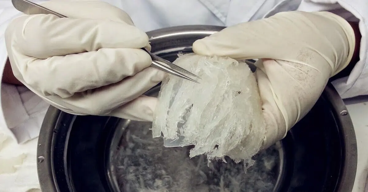 Птичье гнездо, чистый съедобный из Вьетнама-100 г/коробка (Птичье гнездо мистер нам Бу)