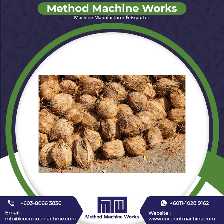 Bulk Supplier Dehusked Coconuts for Sale Cheap Price Young Coconut Dehusking