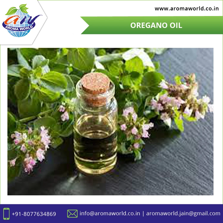  Собственная Марка доступная для чистой натуральной ароматерапии Эфирное Масло Орегано