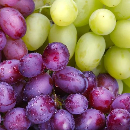 FRESH GRAPES SEEDLESS