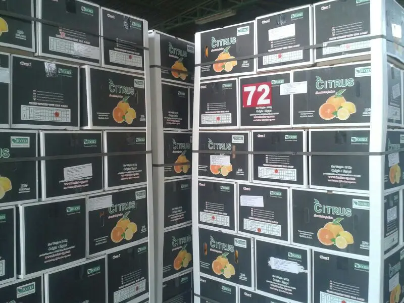 Premium quality Egyptian Fresh Navel Orange 15 kg carton box Wholesale market prices for export from Egypt