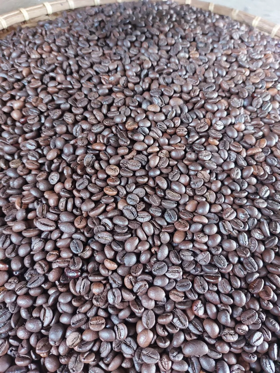 Жареные кофейные зерна/пудра премиум-класса ROBUSTA-WHATSAPP + 84976727907