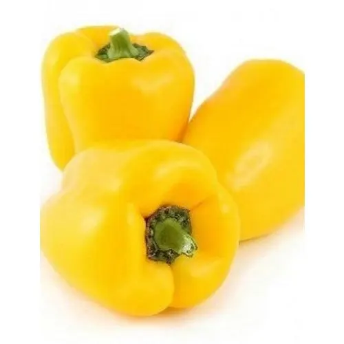 Yellow Capsicum- High quality capsicum