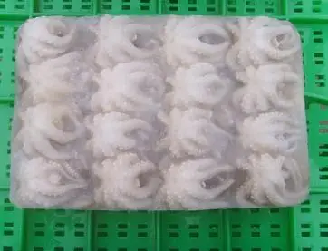 Замороженный полностью очищенный детский Осьминог по низкой цене