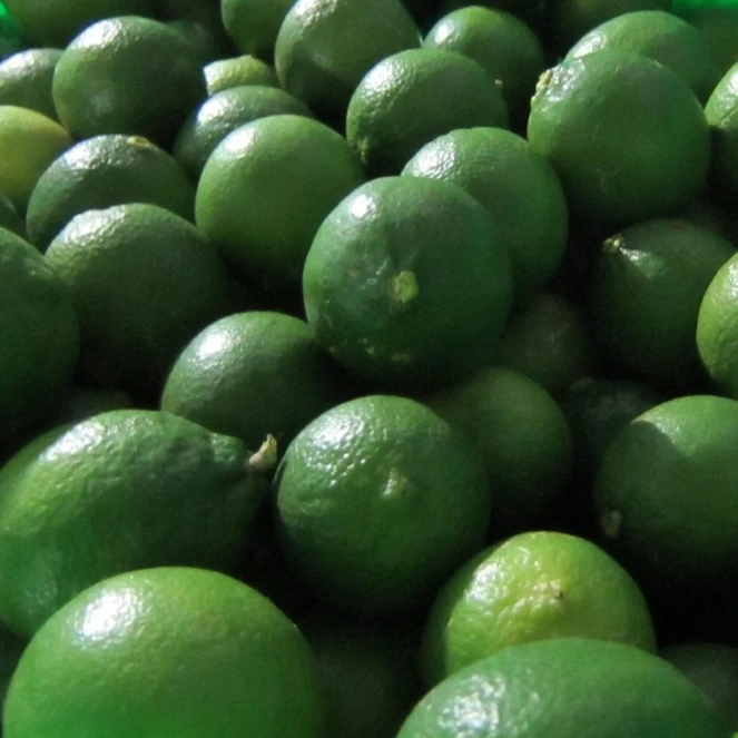 
Wholesale lowest price Crop 2020 seedless lime/ lemon export origin from Vietnam 