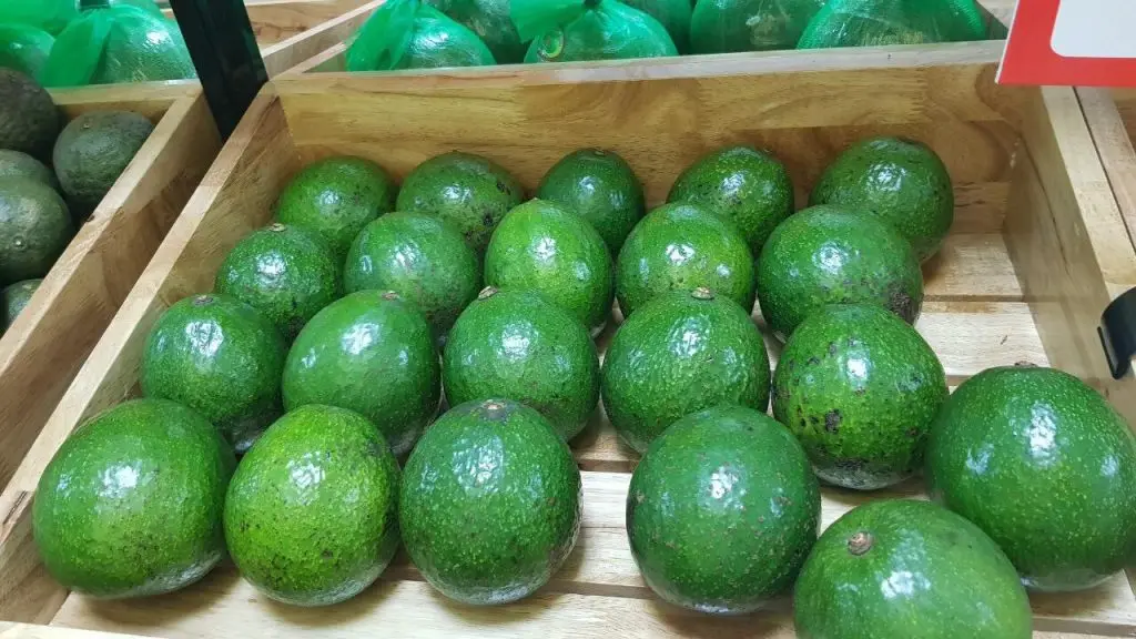 Avocad Стенд 7/свежего Хасс авокадо от GIA NGUYEN компании