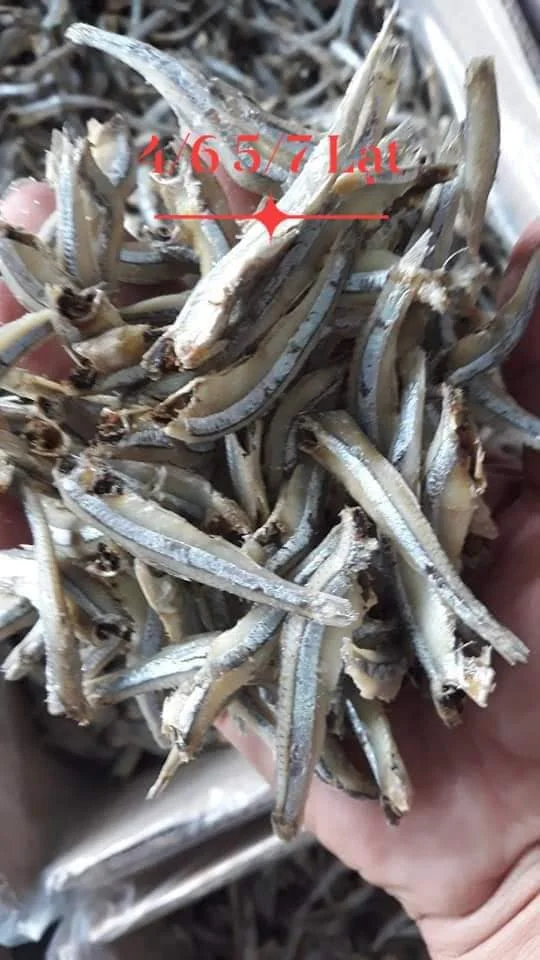 SUNDRIED SPRAT/ DRIED ANCHOVY FISH FROM VIETNAM WITH GOOD PRICE//Sven + 84 966722357