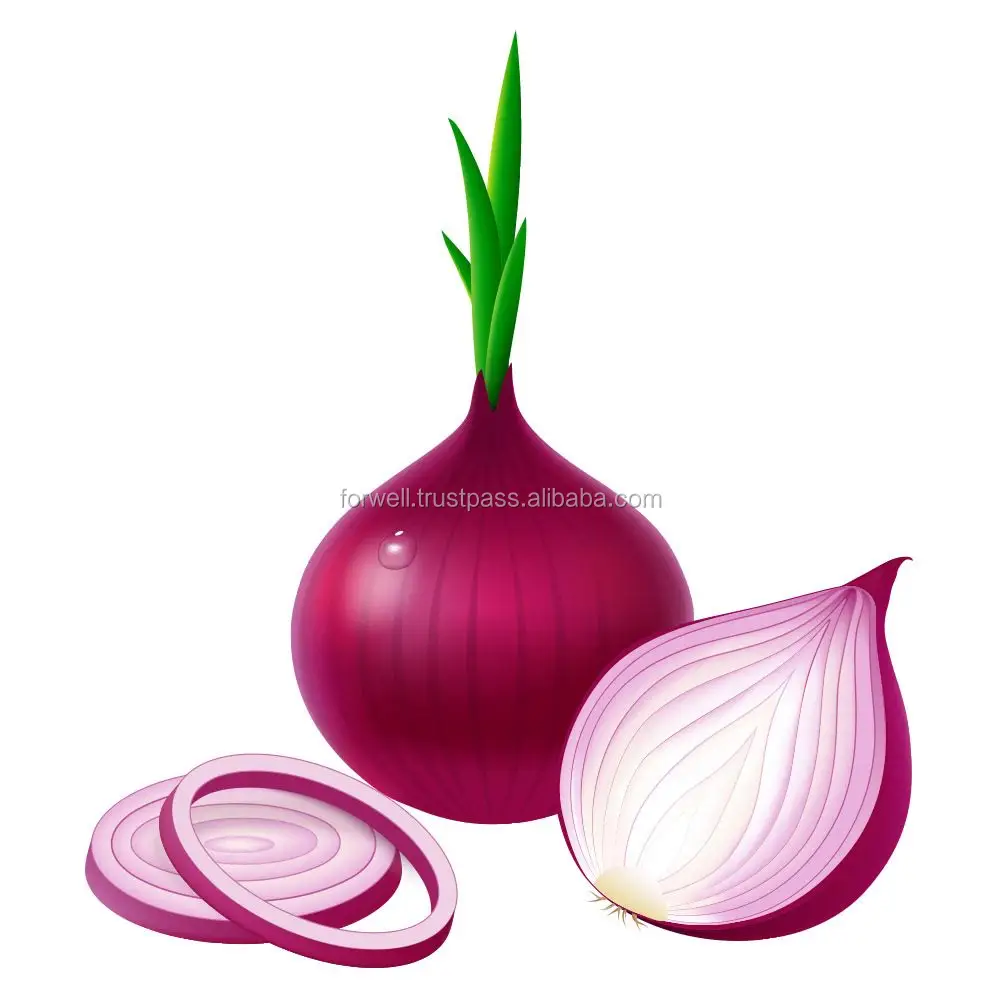 Hot sale best price fresh Egyptian red onion with high quality from Egypt