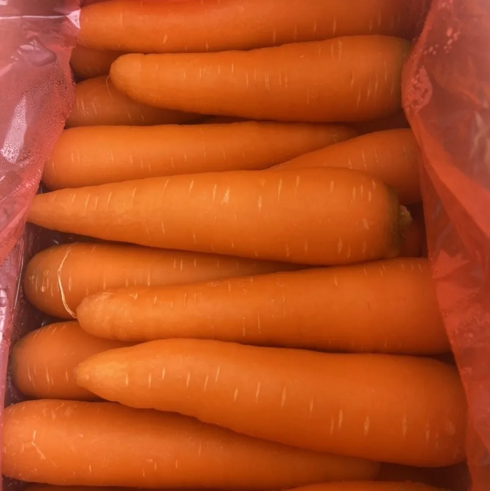 Свежая морковка со стандартами безопасности овощей из Вьетнама
