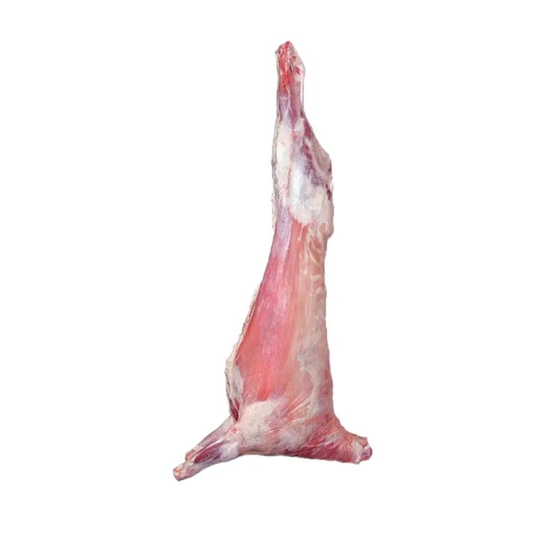 
Lamb Carcass - Best Selling And Best Price Wholesale Product 