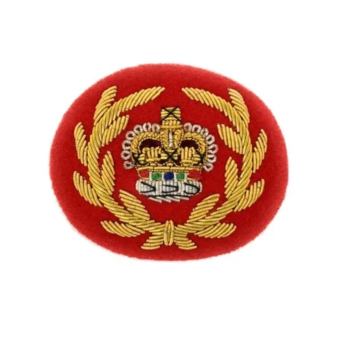 Значки вышивки ранг и назначения представлено в двух WO1 & WO2 значок ВВС США офицерская форма значки