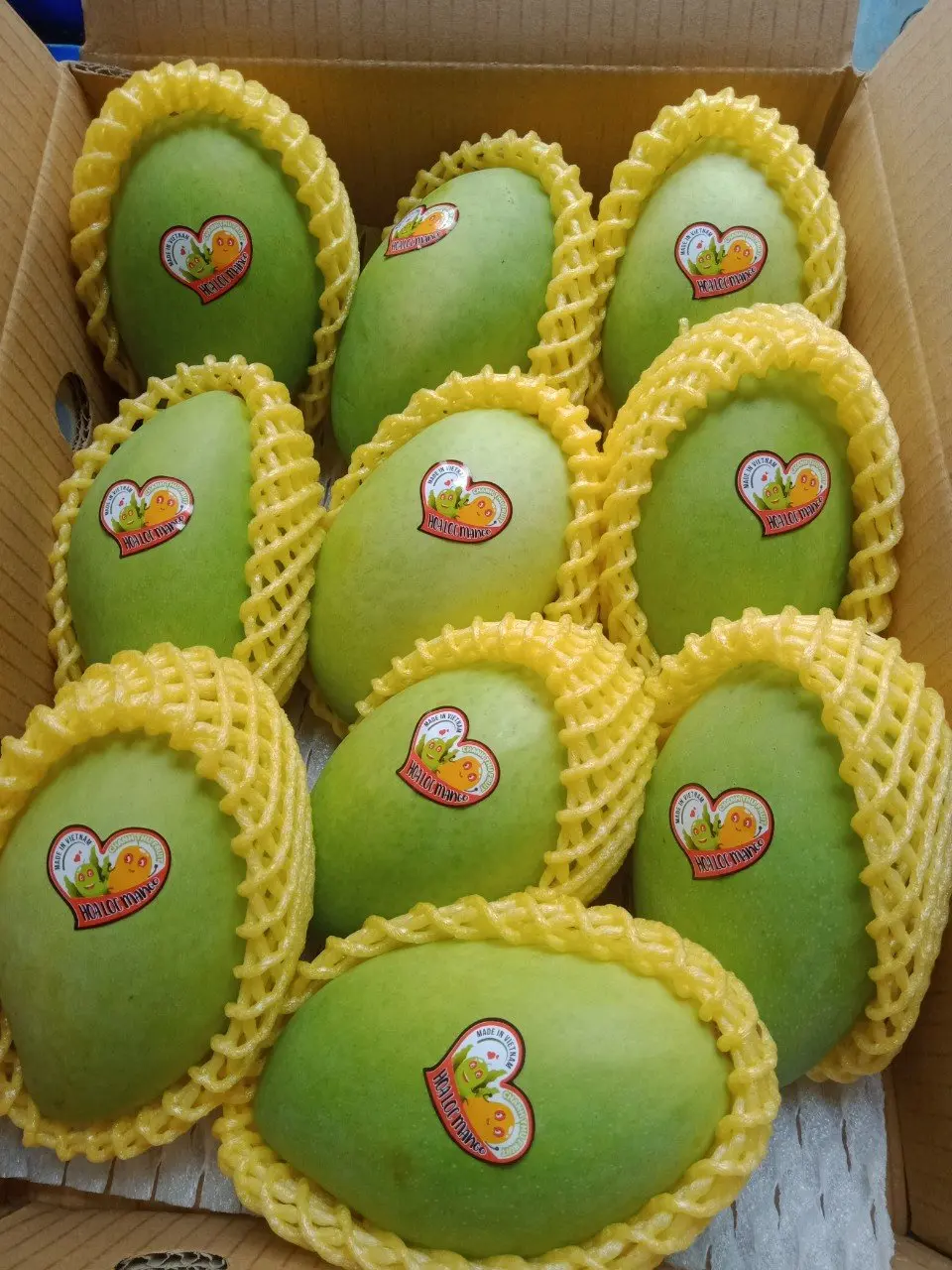 200-1100g/fruit High Quality Carton Box Packaging Green Color Common Cultivation Type Sweet Taste Mango Export From Vietnam