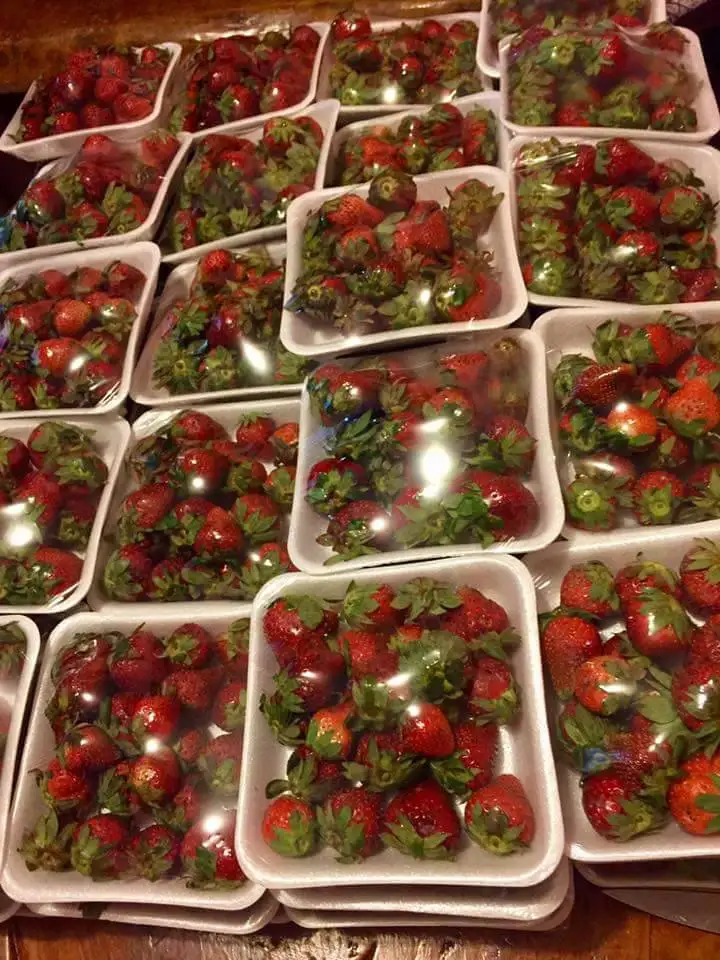 
Wholesale Fresh Strawberry / Strawberry Fruit Price 