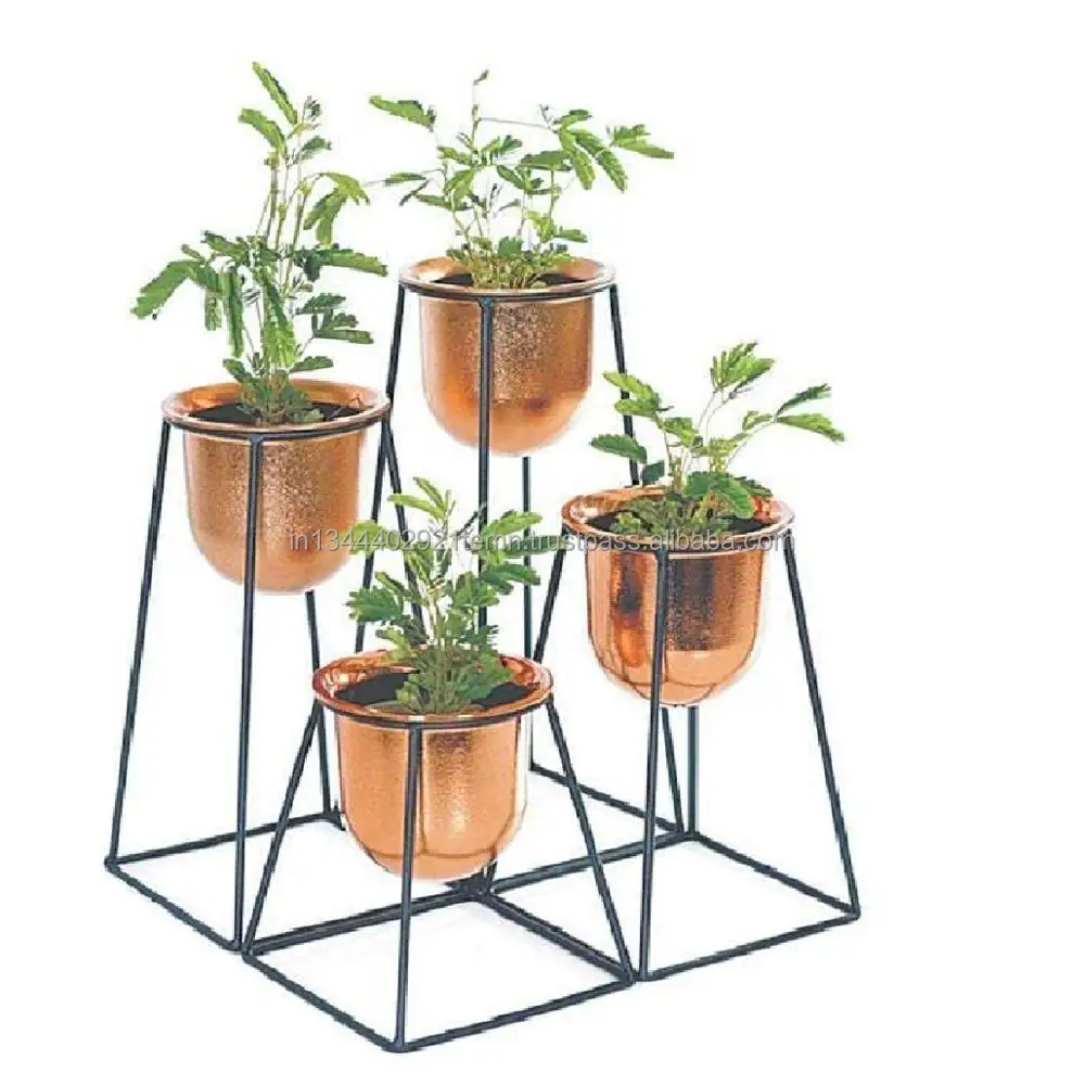 Mini Grow Pot Seed Start Tray Plant Grow Kit Flowers Planter Pots and Seeds