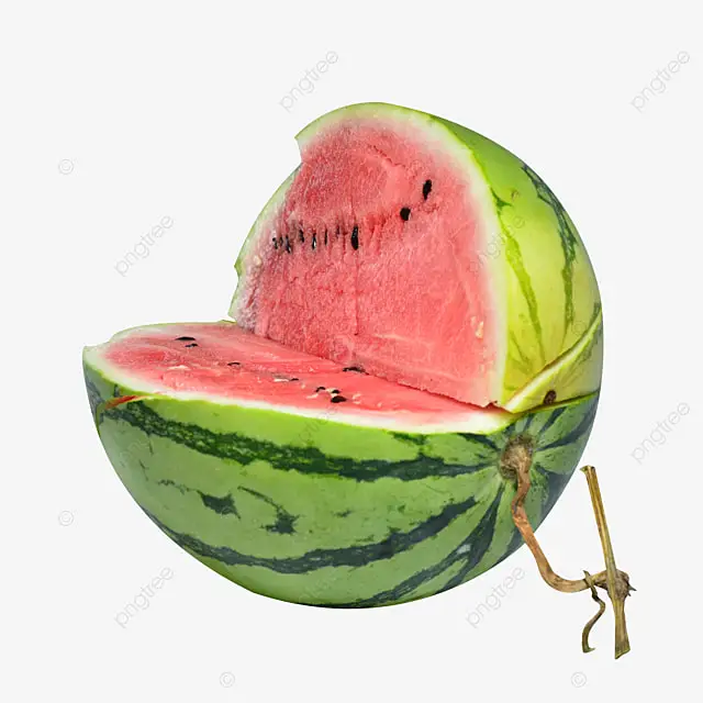 
High Quality Fresh watermelon Best Price 