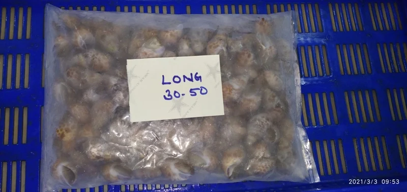 
LIVE FROZEN BAIGAI WHOLE 