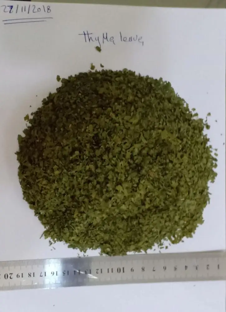 
Best seller Dried Celery leaves -BEST QUALITY, BEST PRICES (SPICES LAND FOR EXPORT) 