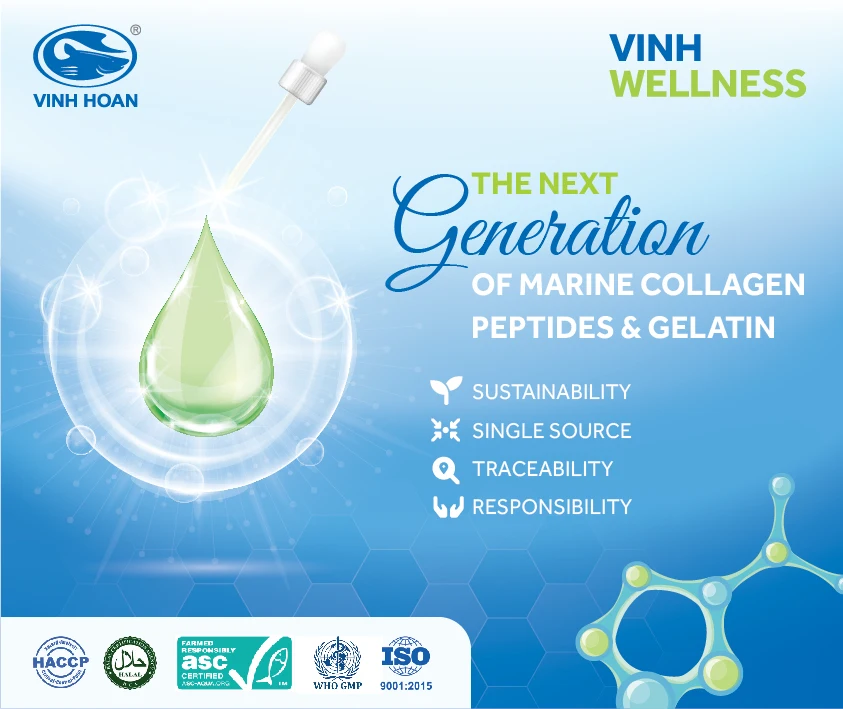 Collagen From Fish Skin. Fish Collagen 500 Dalton. Collagen Peptide Powder. For OEM