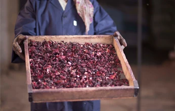 Dried Hibiscus Flowers and Hibiscus Powder Best wholesale Price from Africa