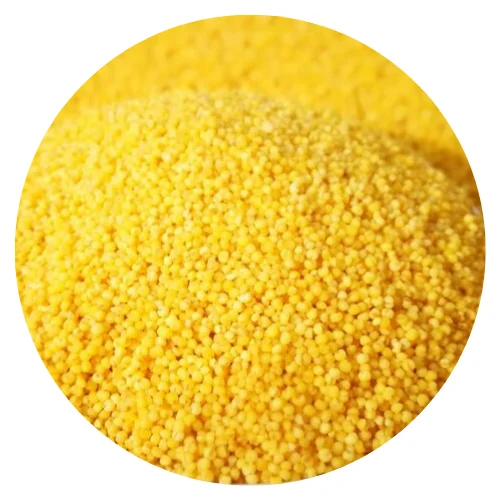  1st Grade Yellow