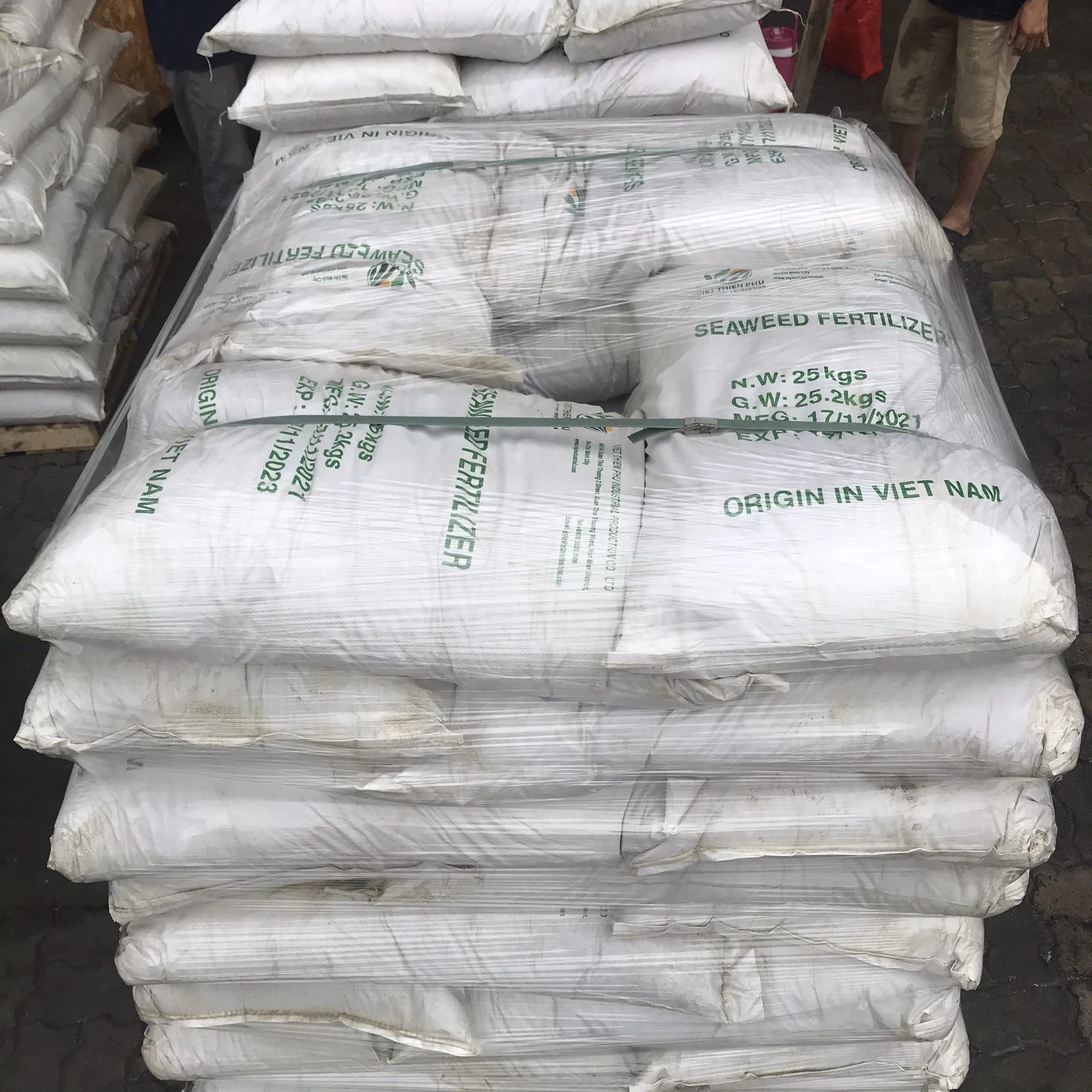 Green Seaweed Powder /Green Seaweed  For Fertilizer And Animal Feed 2021