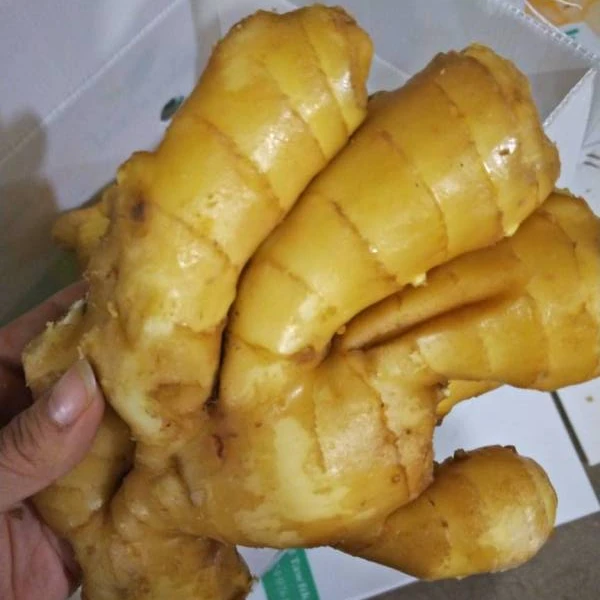 fresh and dry GINGER, contact  +84963818434