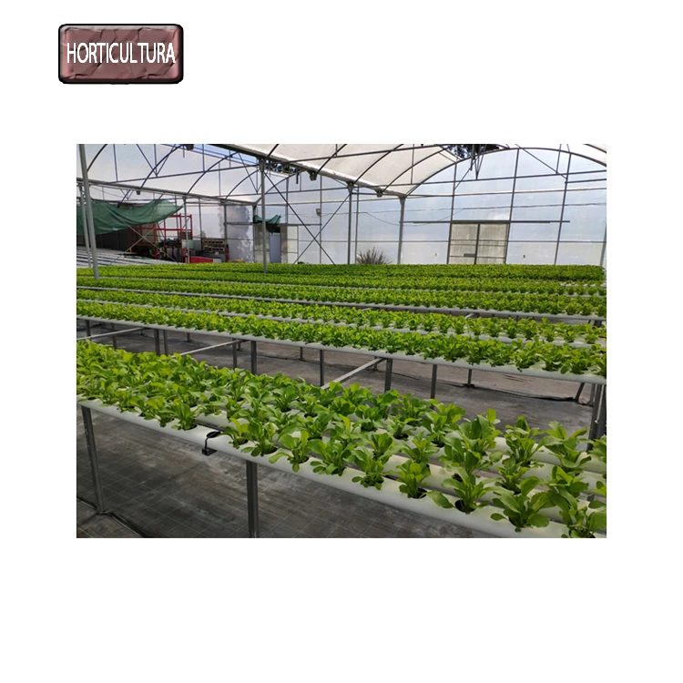 
Biggest Dealer of Genuine Quality Fertilizer Saver NFT Hydroponic Channel Used for Vertical Farming 