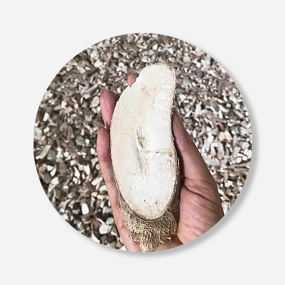 Best Seller Thai Dried Cassava Chips For Food Industry or Making Animal Feed and Ethanol