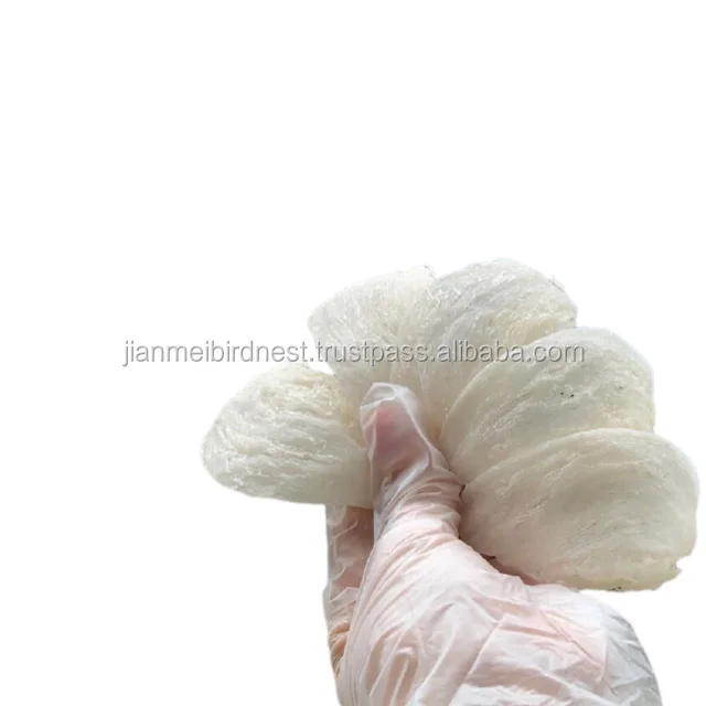 
Exclusive Food Birds Nest Yan Wo Zhan For Health Care From Indonesia BirdsNest 100% high quality 
