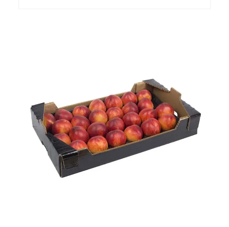 Nectarine Premium Quality FreshNectarine From Turkey High Quality