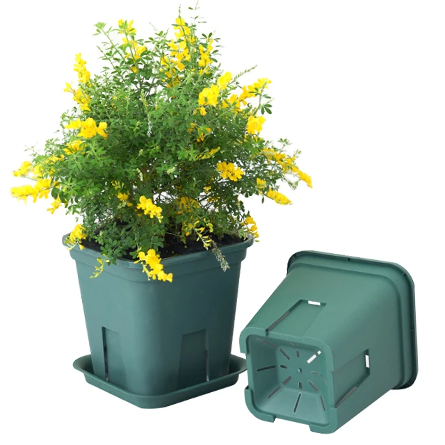 Factory Wholesale Permeable Indoor Outdoor Square Plastic Pots with Tray Green Plastic Pots for Plants Flowers