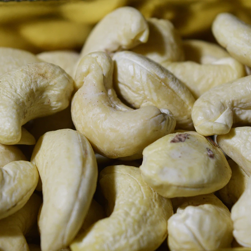 Dried Cashew Nuts /Cashew nuts W320/W240