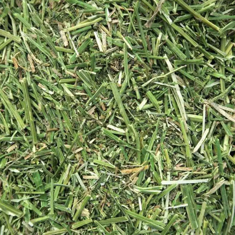 Alfalfa Hay in Bales For Animal Feed