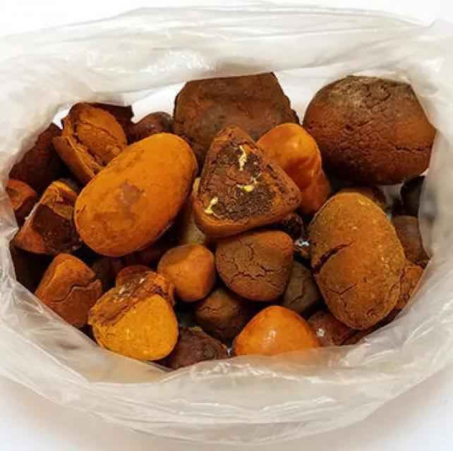 buy Cow Gall Stones / Ox Gallstones for Sale cheap