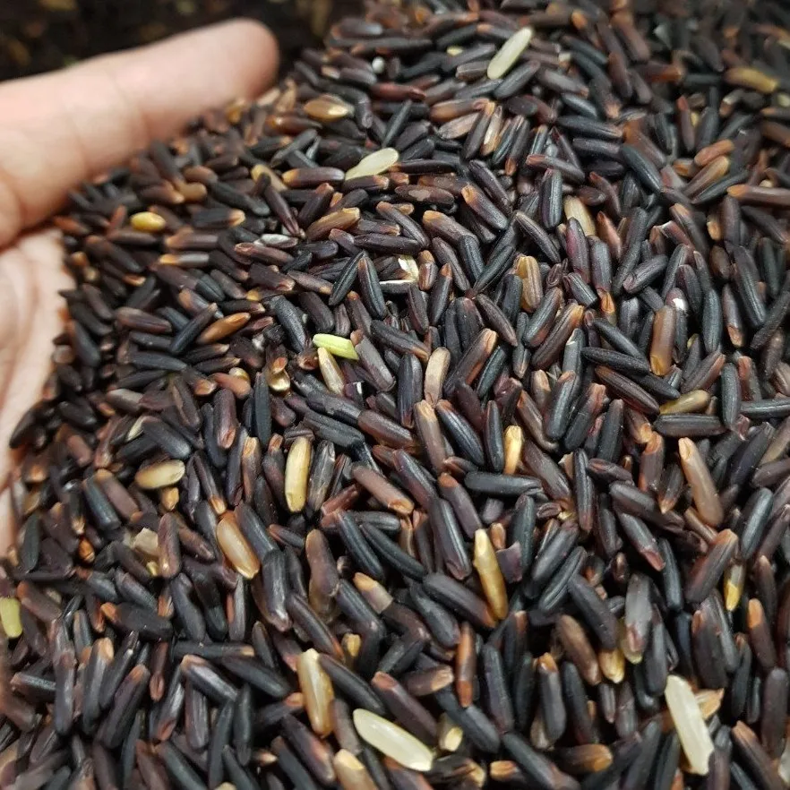 Organic black brown rice, high quality Vietnamese goods, best seller in 2021