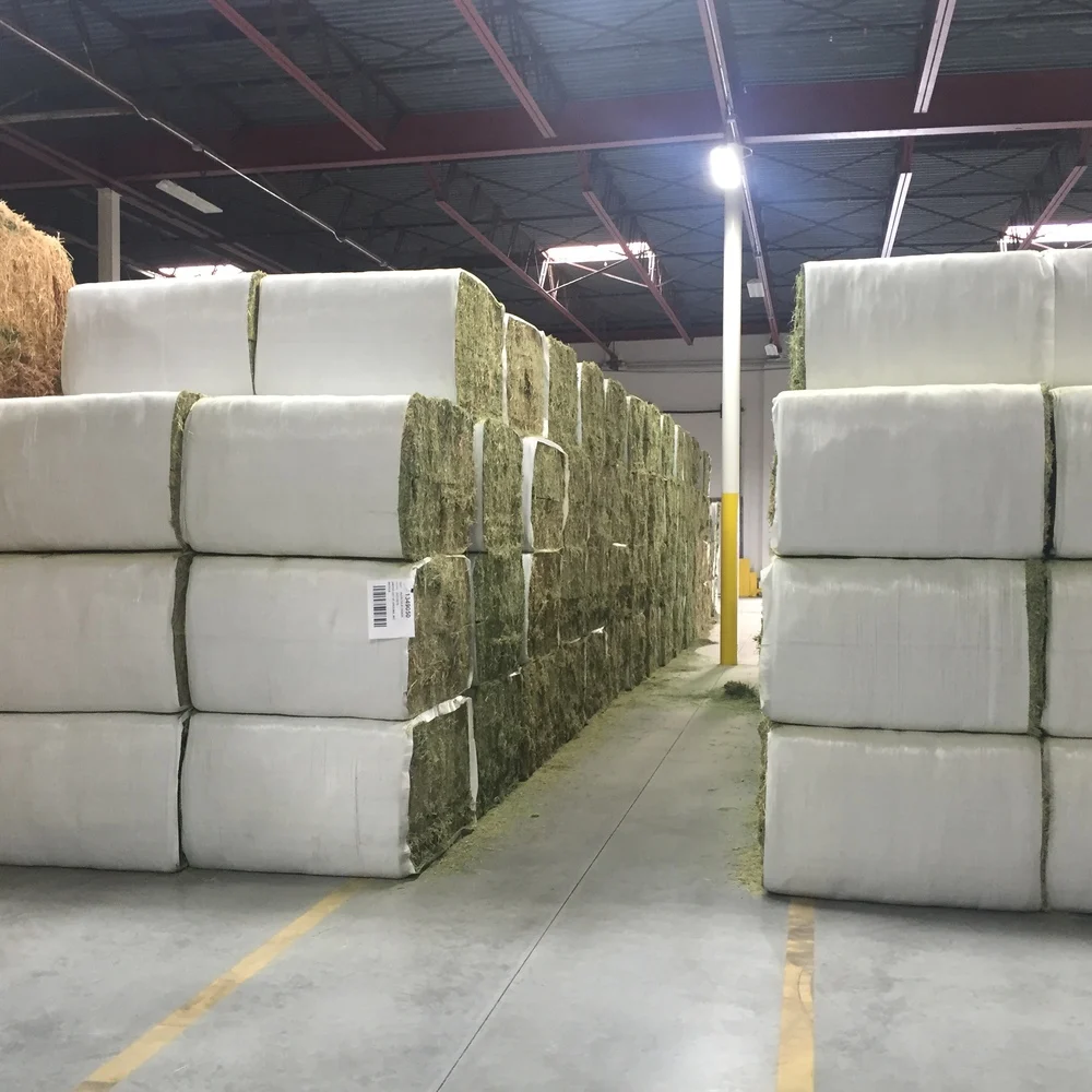 Best Selling Alfalfa Hay/Alfalfa Hay For Animal feeding /Lucerne Hay from Germany