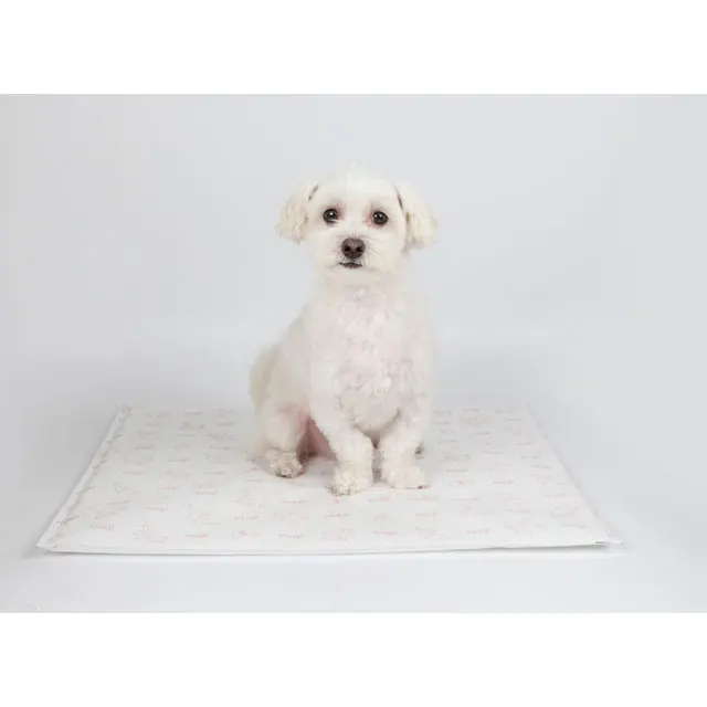 Hot selling Made In Korea training pad Nugi pad for dog pee training (M size) dog pad