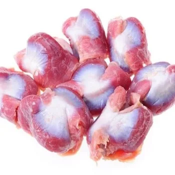 Clean and Healthy Halal Frozen Chicken Gizzard