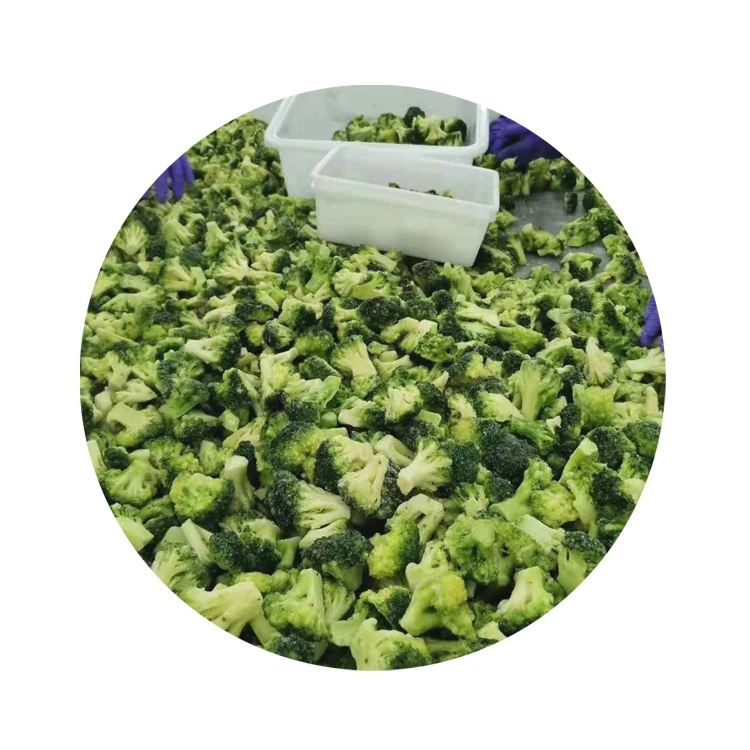 
High Quality Frozen Green Cauliflower Premium Quality Iqf Broccoli Cutting 
