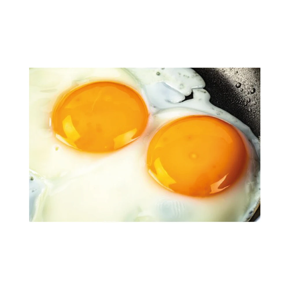 High Quality Organic Certified Free Range Chicken Eggs Wholesale Product - Medium Size 53-62 Grams