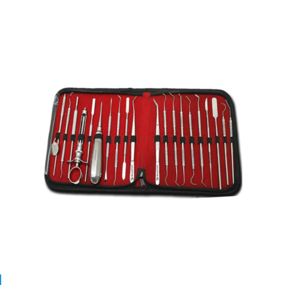 Professional Dental stainless steel quality dental instrument 10 english patron Extracting Forceps kit