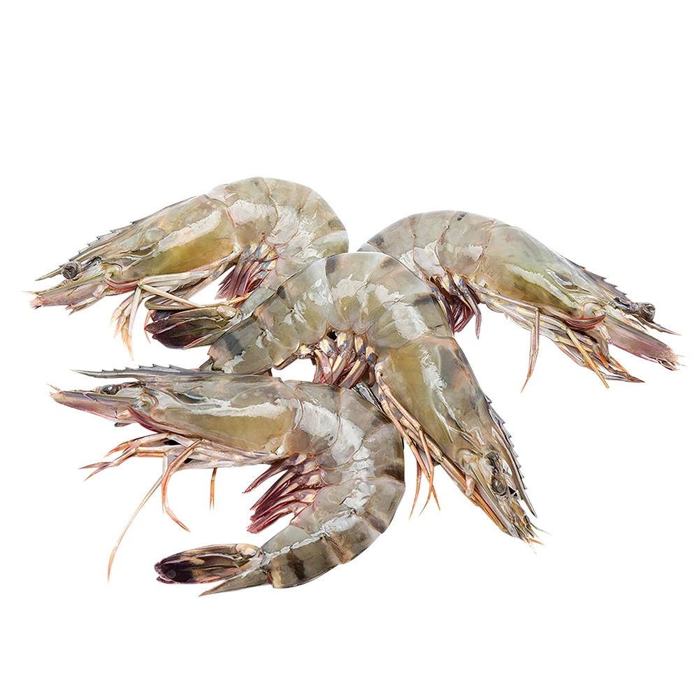 Selling Fresh Frozen Whole Vannamei Shrimp White and Black Tiger Shrimp Prawn