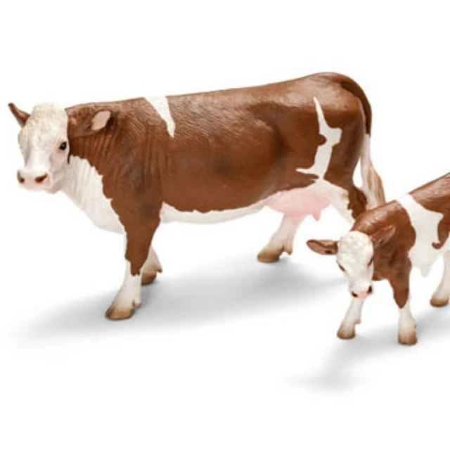 
Hot Sales Bulls Simmental Dairy Cattle For Sell 