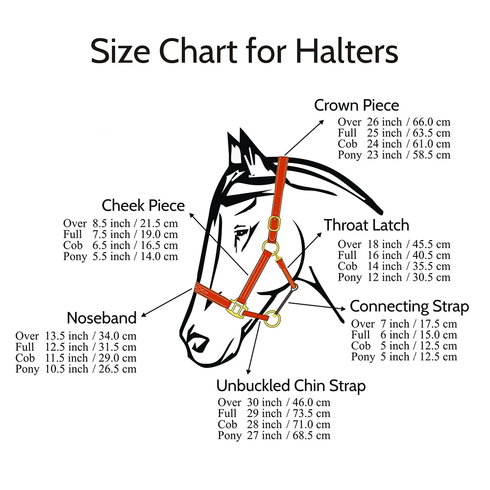 2024 New Latest Design Horse Riding PP Halters Bulk Manufacturer Supplier Buy At Good Price