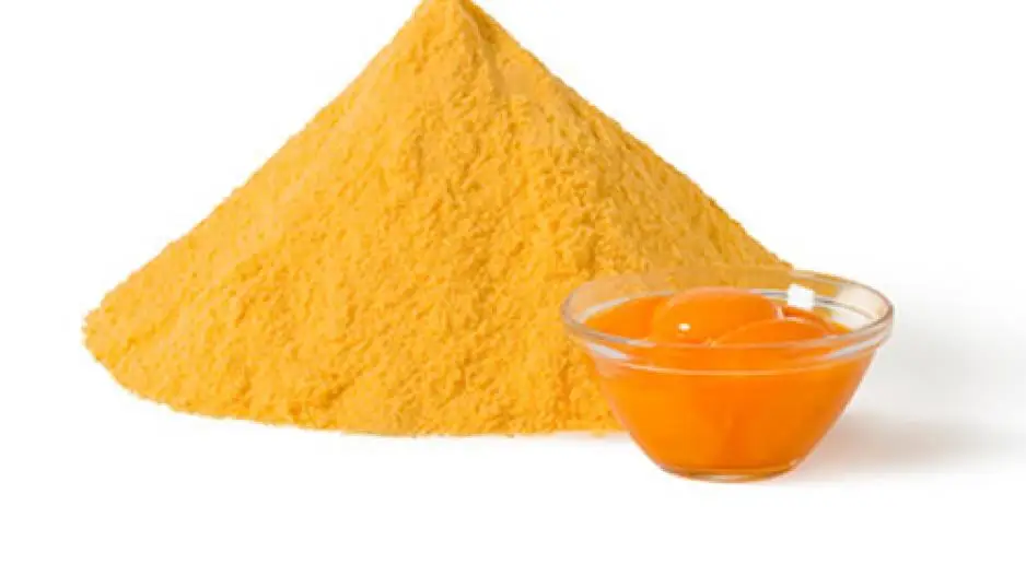 Лучшее питание порошок яичного желтка соль для использования в пищевых продуктах Ms праздник + 84845639639