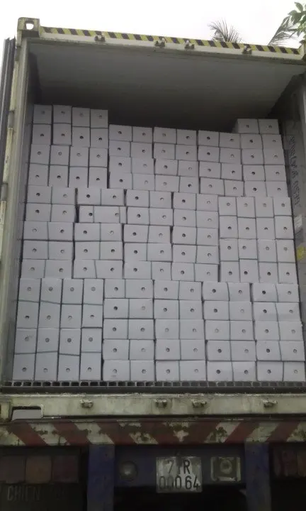 Top Quality Young Fresh Coconut Export Japan Korea Market From Viet Nam