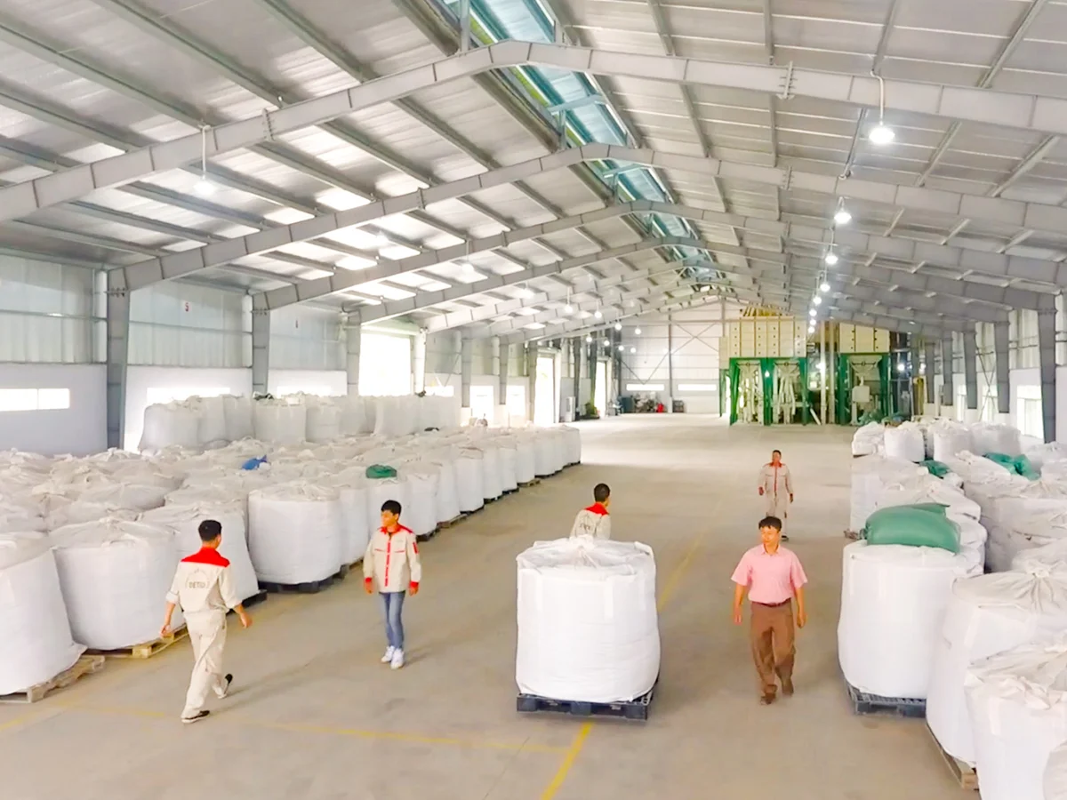 Одинарный вьетнамский оригинальный кофе арабика и робуста с зелеными зернами низкая цена минимальный заказ экран 16 дюймов 18 полной стиркой