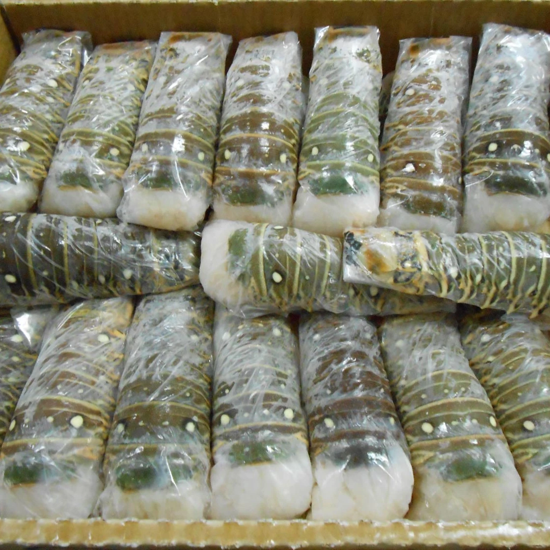 Горячая Распродажа замороженного морского лобстера из Индонезии