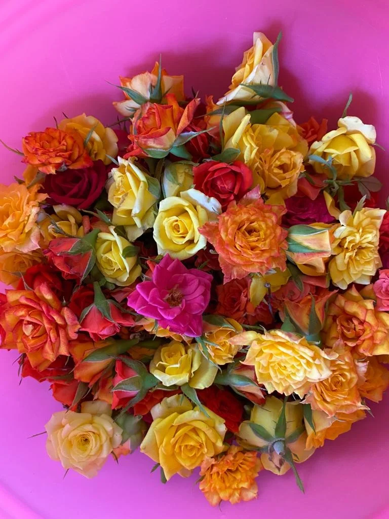 High Quality Organic Rose Water Tonic 100 ml Natural Face Serum with Customized Label Essential Oil