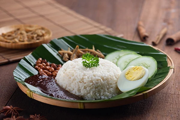 Смешанный сушеный порошок Наси Лебеди премиум-класса сделано в Малайзии хорошо известная малазийская кухня удобно для подготовки еды малого бизнеса